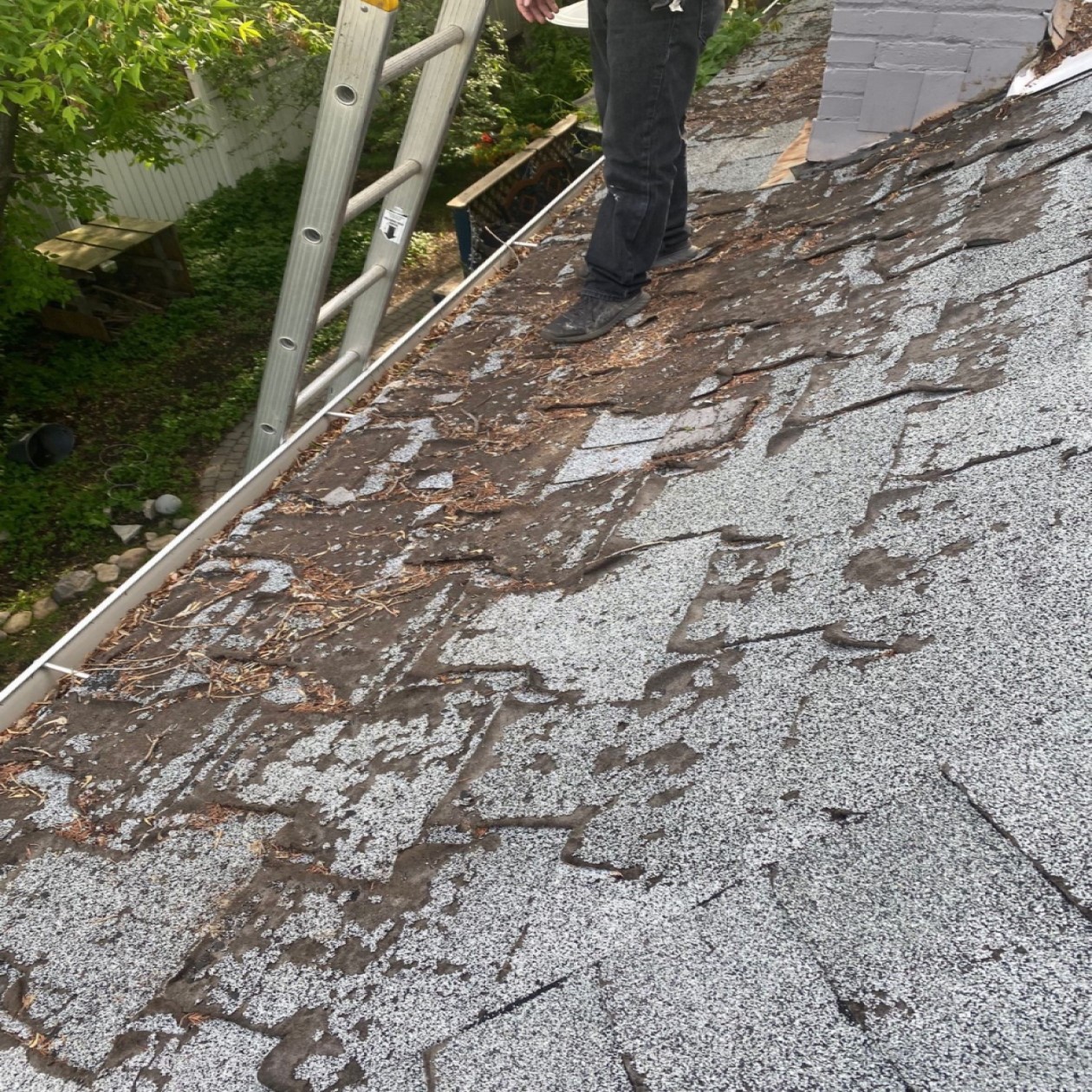 Edmonton Alberta roof repairs image 5